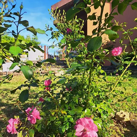 La Dei Nonni Holiday home *